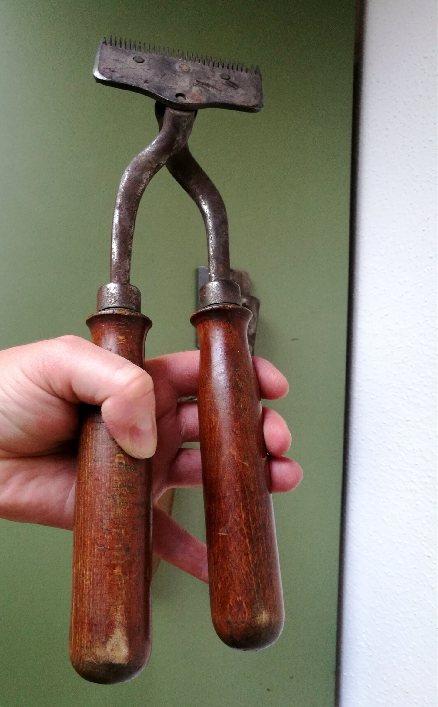 2 Pferde Haarscheren Fellscheren mit Holzgriff und Patina VINTAGE